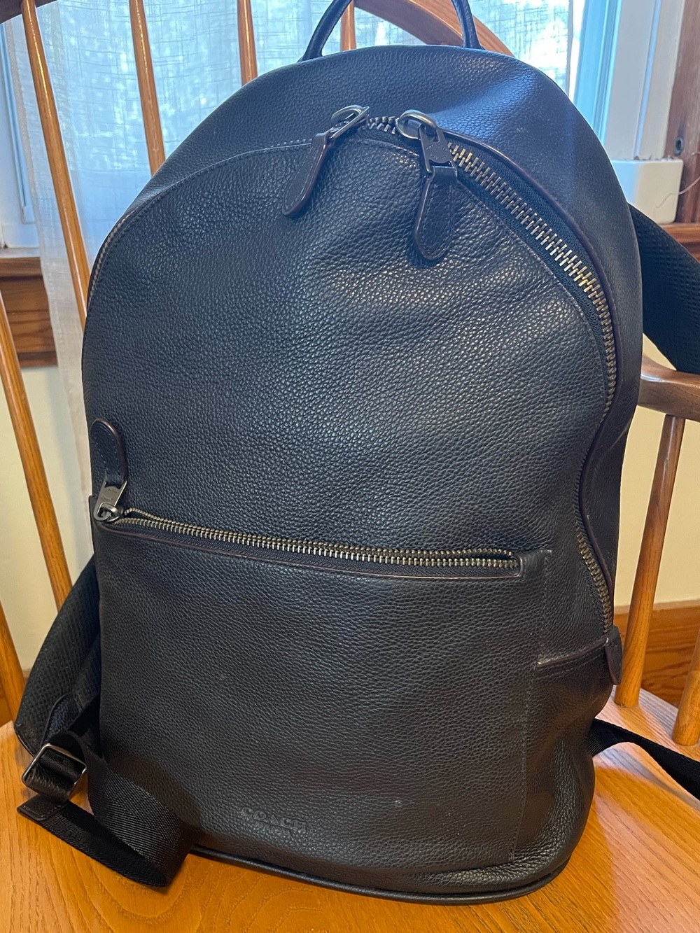 Coach Leather Backpack